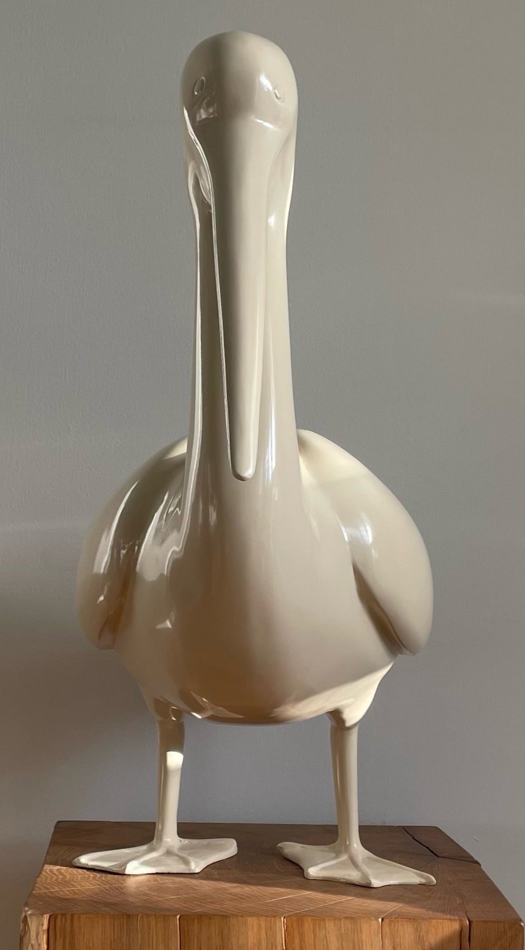 The Pelican