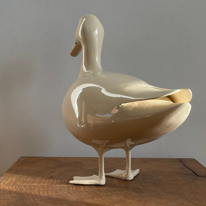 The Duck