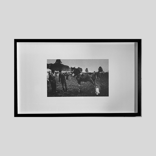 Large framed black and white photographic print showing horse