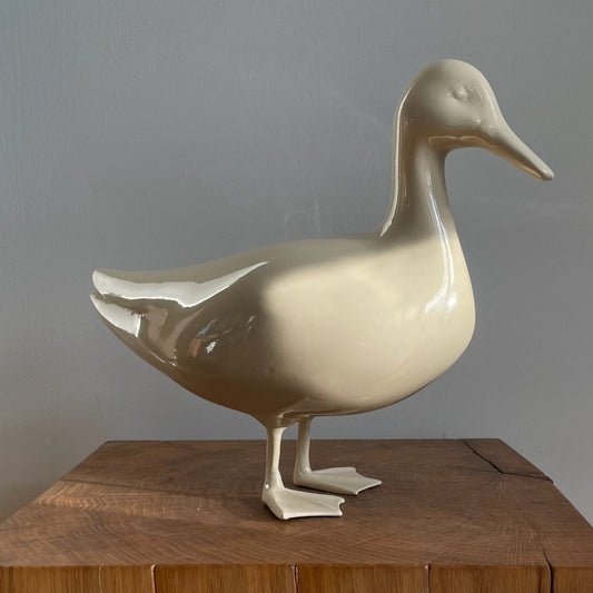 The Duck